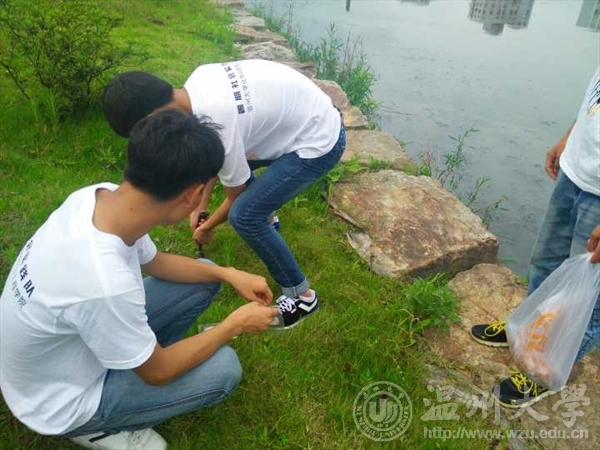 杏吧视频